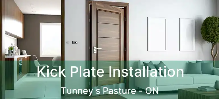  Kick Plate Installation Tunney s Pasture - ON