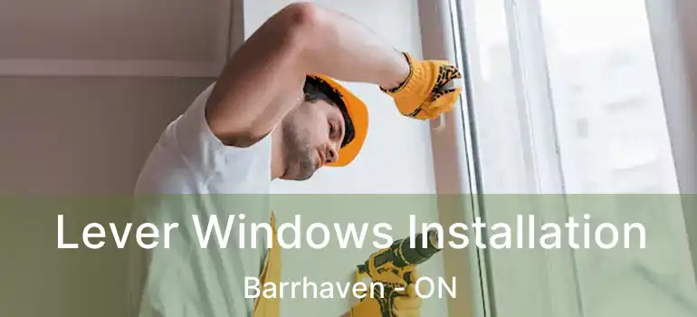  Lever Windows Installation Barrhaven - ON