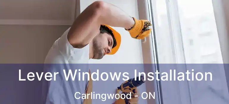  Lever Windows Installation Carlingwood - ON