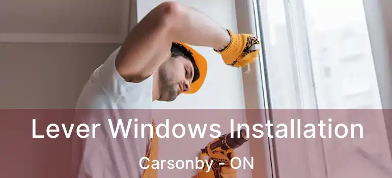  Lever Windows Installation Carsonby - ON