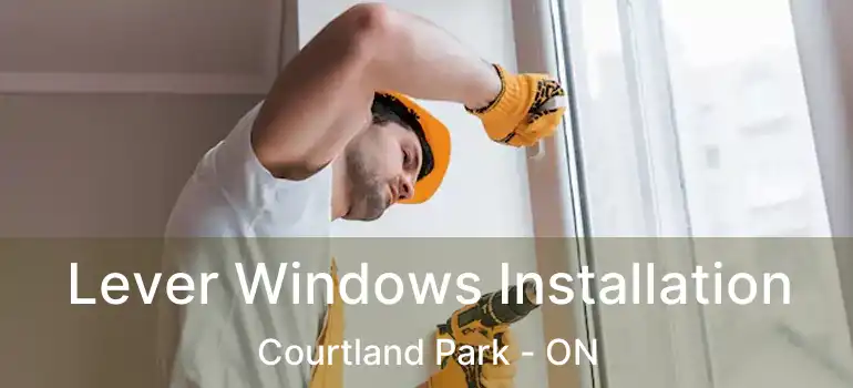  Lever Windows Installation Courtland Park - ON