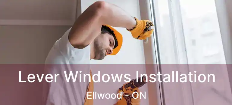  Lever Windows Installation Ellwood - ON