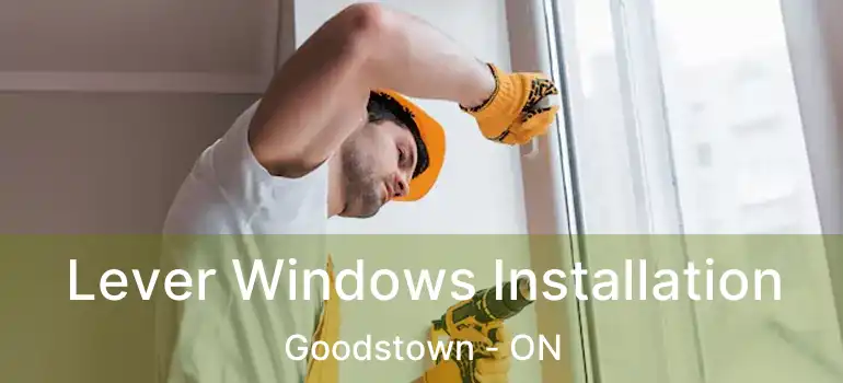  Lever Windows Installation Goodstown - ON