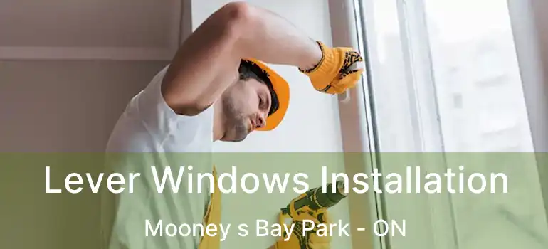  Lever Windows Installation Mooney s Bay Park - ON