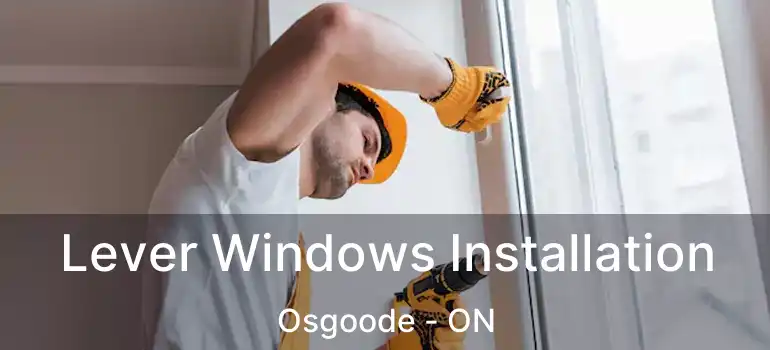  Lever Windows Installation Osgoode - ON