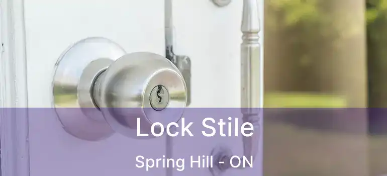  Lock Stile Spring Hill - ON