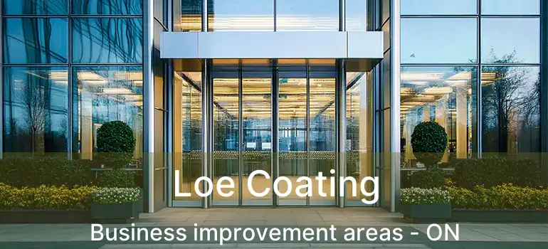  Loe Coating Business improvement areas - ON