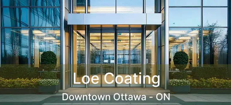  Loe Coating Downtown Ottawa - ON