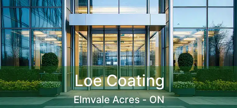  Loe Coating Elmvale Acres - ON