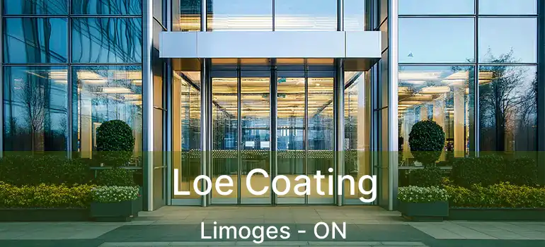  Loe Coating Limoges - ON