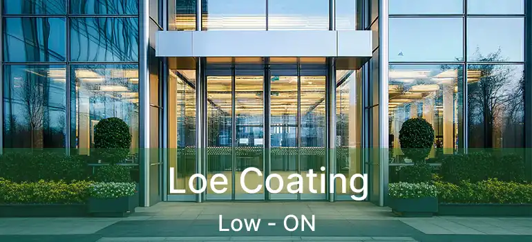  Loe Coating Low - ON