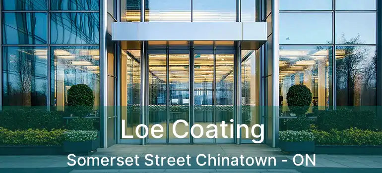  Loe Coating Somerset Street Chinatown - ON