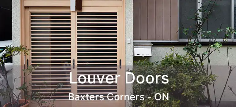  Louver Doors Baxters Corners - ON