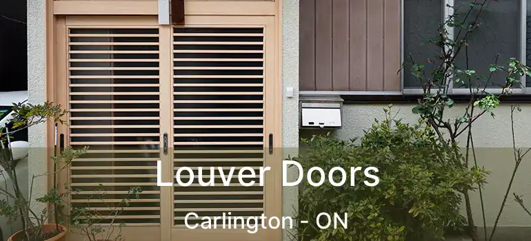  Louver Doors Carlington - ON