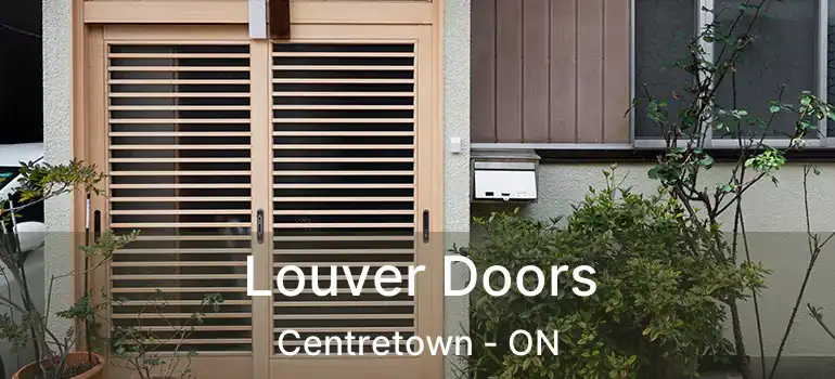  Louver Doors Centretown - ON