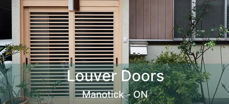  Louver Doors Manotick - ON