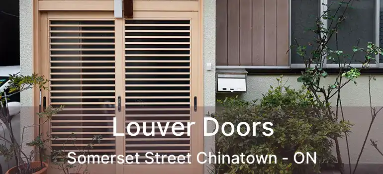  Louver Doors Somerset Street Chinatown - ON