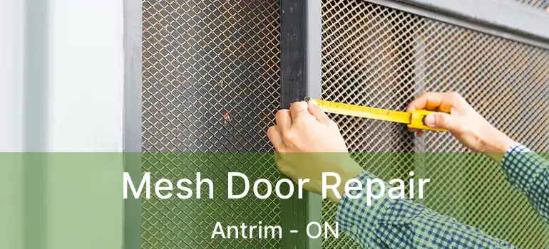  Mesh Door Repair Antrim - ON