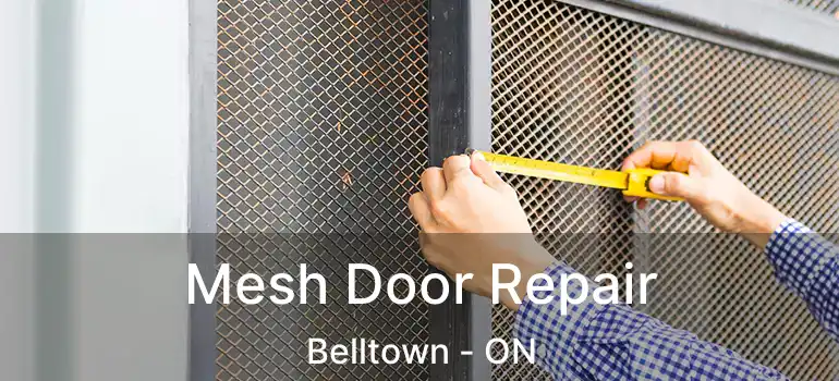  Mesh Door Repair Belltown - ON