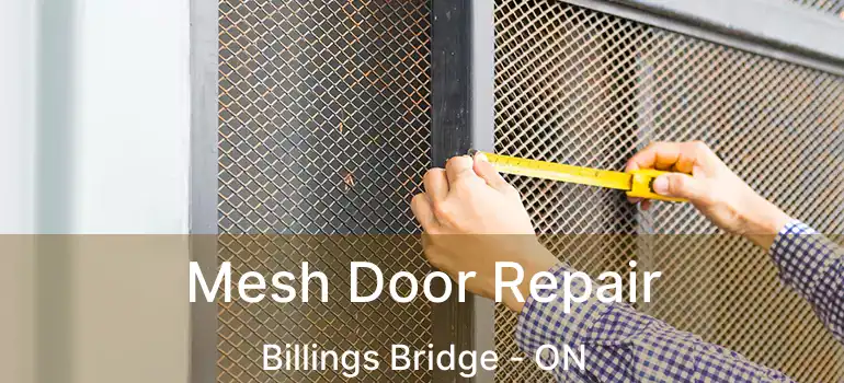  Mesh Door Repair Billings Bridge - ON