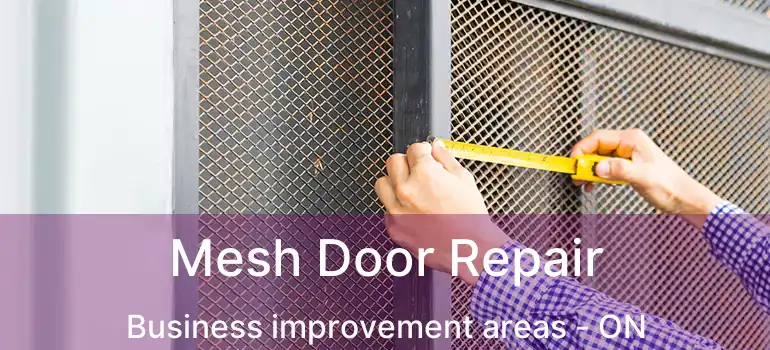  Mesh Door Repair Business improvement areas - ON