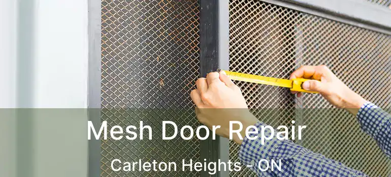  Mesh Door Repair Carleton Heights - ON