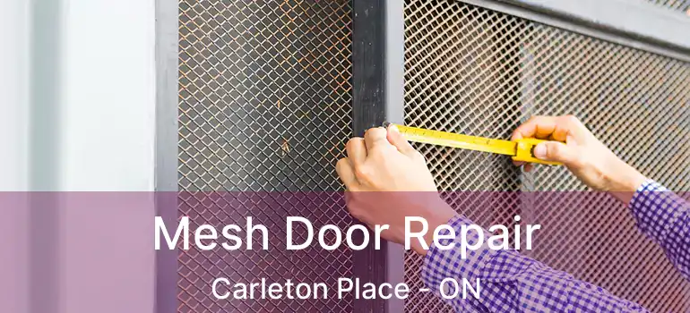  Mesh Door Repair Carleton Place - ON