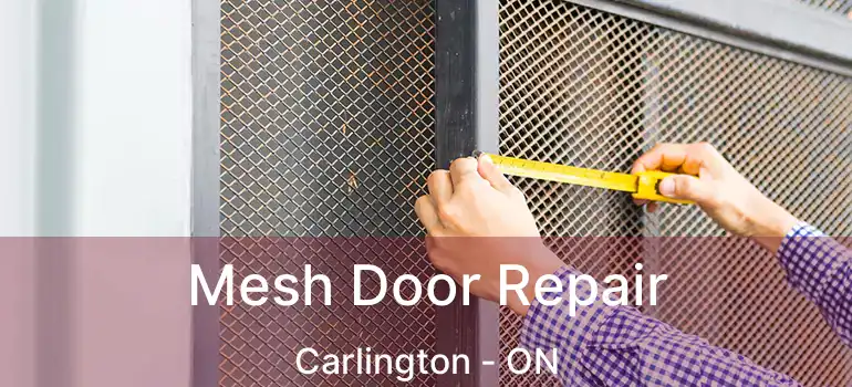  Mesh Door Repair Carlington - ON