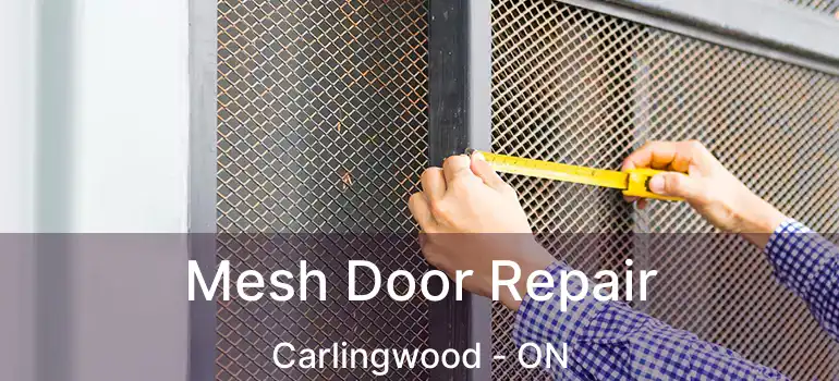  Mesh Door Repair Carlingwood - ON