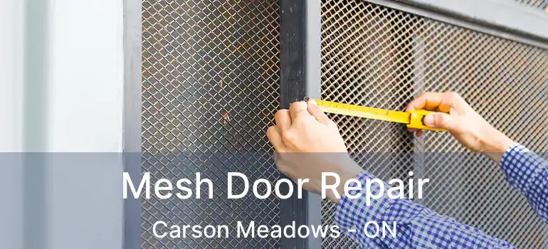  Mesh Door Repair Carson Meadows - ON