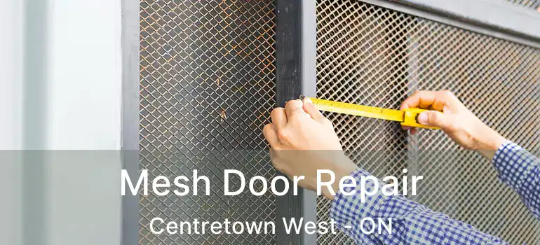  Mesh Door Repair Centretown West - ON