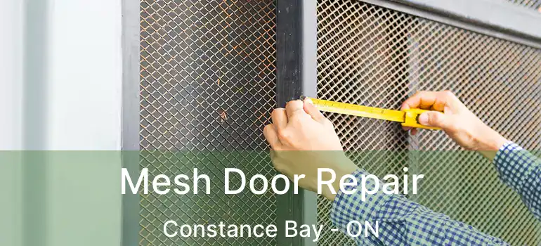  Mesh Door Repair Constance Bay - ON