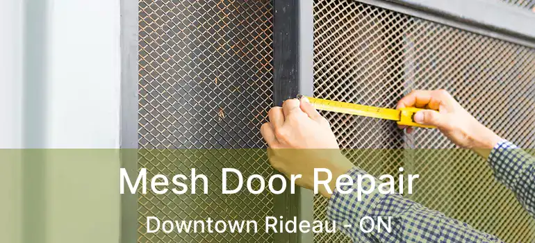  Mesh Door Repair Downtown Rideau - ON