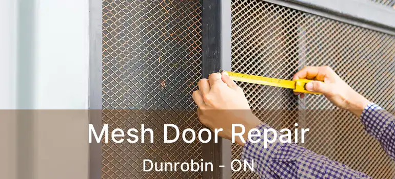  Mesh Door Repair Dunrobin - ON