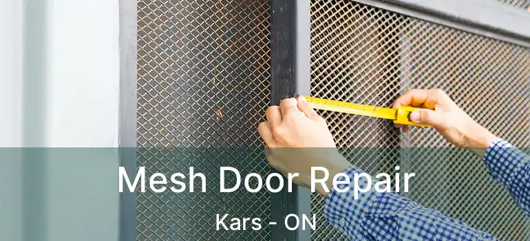  Mesh Door Repair Kars - ON