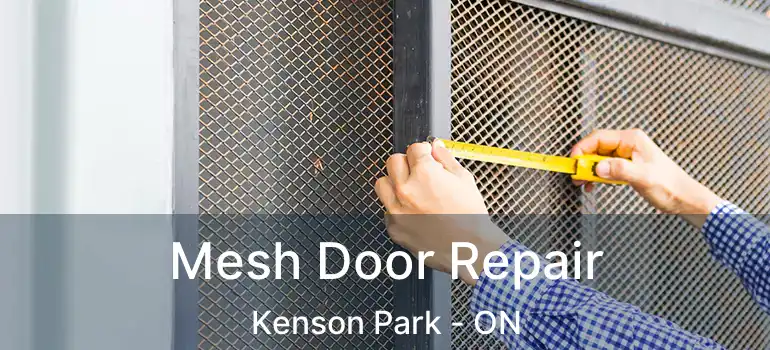  Mesh Door Repair Kenson Park - ON