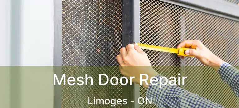  Mesh Door Repair Limoges - ON