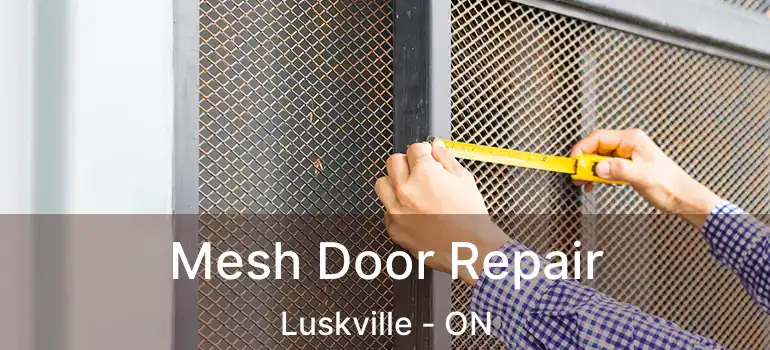  Mesh Door Repair Luskville - ON