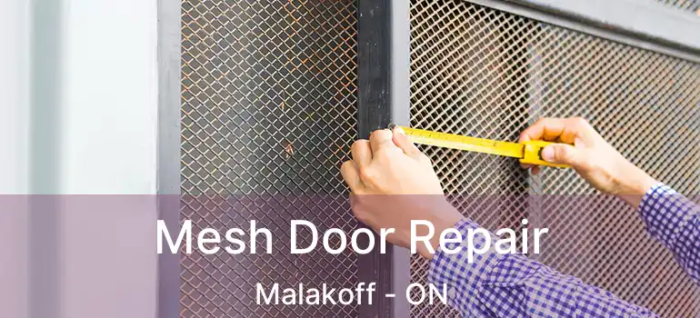  Mesh Door Repair Malakoff - ON