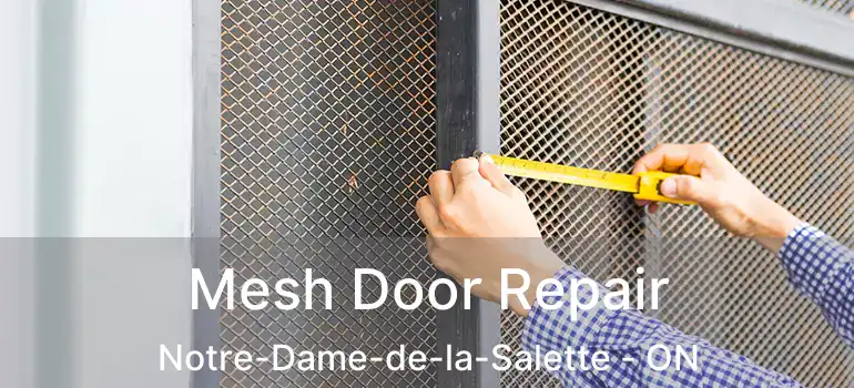  Mesh Door Repair Notre-Dame-de-la-Salette - ON