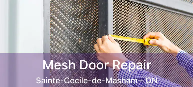  Mesh Door Repair Sainte-Cecile-de-Masham - ON