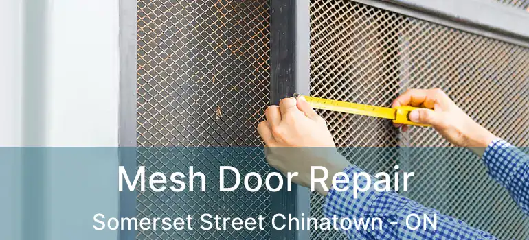  Mesh Door Repair Somerset Street Chinatown - ON