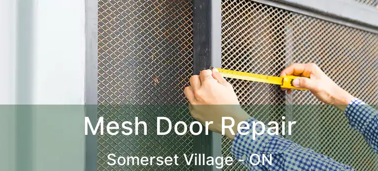  Mesh Door Repair Somerset Village - ON