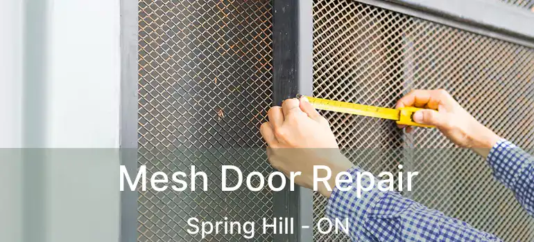  Mesh Door Repair Spring Hill - ON