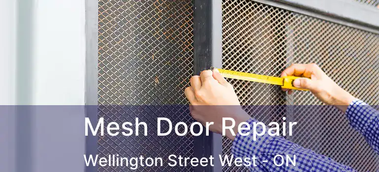  Mesh Door Repair Wellington Street West - ON