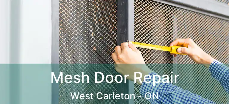  Mesh Door Repair West Carleton - ON