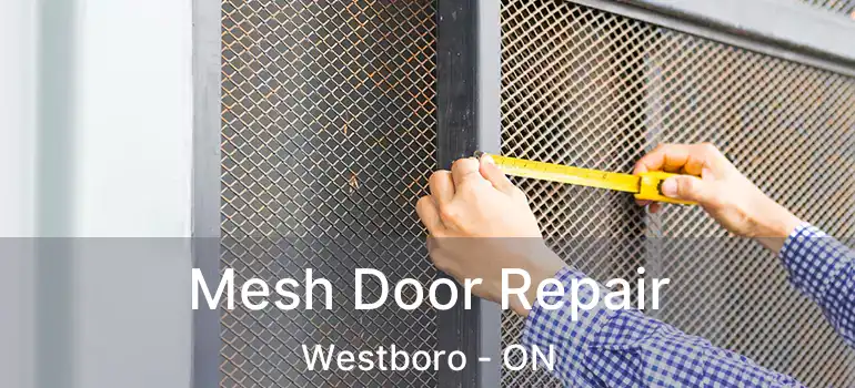  Mesh Door Repair Westboro - ON