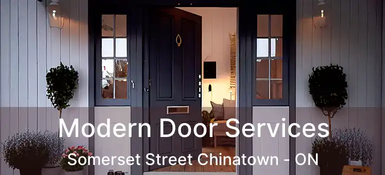  Modern Door Services Somerset Street Chinatown - ON