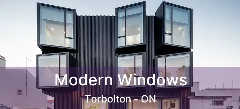  Modern Windows Torbolton - ON