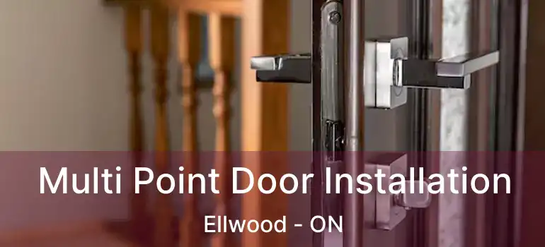  Multi Point Door Installation Ellwood - ON